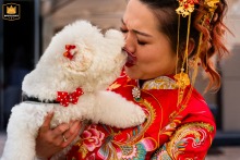 A joyful bride in Udine, Italy, receives a sweet kiss from her beloved dog.