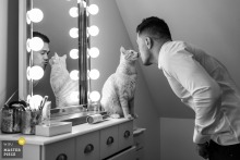 the groom kisses his cat while he gets dressed for the wedding Brive la Gaillarde, France groom kisses his cat while he gets dressed for the wedding