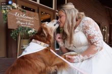   Minnie, an 11-year-old pup, gives her mom a big kiss upon arrival at The Mayernik Center at Avonworth Park in Emsworth, PA, ready to be the adorable pup of honor.