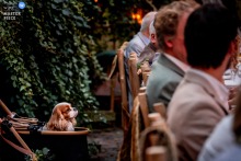 At de Woeste Hoeve in Hoenderloo, the couple’s dog refuses to miss dinner, staking out the best seat in the house with the comic certainty of a seasoned guest.