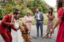 The dog at Chateau de la Rose in Indre leaps onto the newlyweds with joyful abandon, turning a polished wedding scene into something wonderfully unruly and alive.