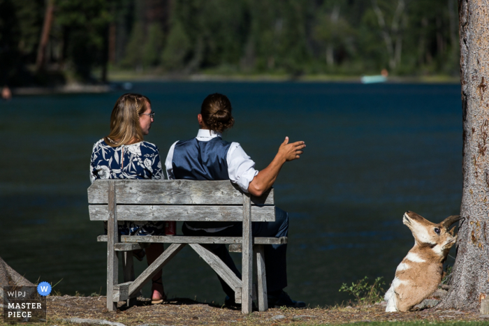 Detail photo of the bride and groom sitting on a bench in front of a lake next to a taxidermy deer head Detail photo of the bride and groom sitting on a bench in front of a lake next to a taxidermy deer head by a Missoula, MT wedding photographer.