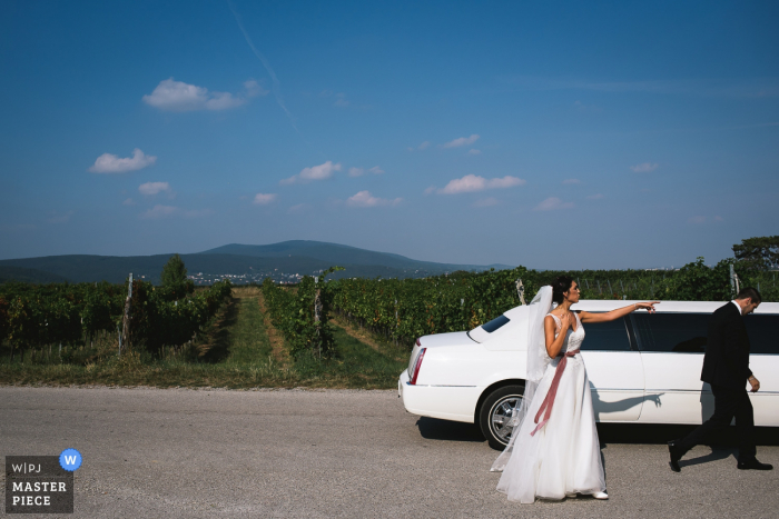 Photo by: <a href="https://www.wpja.com/contests/2016-q4-photography-competition/humor/1933536">Kristian Leven - United Kingdom</a> The bride stands pointing on the road outside of a white limo parked in front of a vineyard in this photo by a London, England wedding reportage photographer.