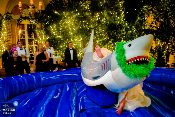 Photo by: <a href="https://www.wpja.com/contests/2016-q4-photography-competition/humor/1943066">Ben Chrisman - United States</a> Photo of the bride slipping off of a mechanical shark by Charleston, SC wedding photographer.