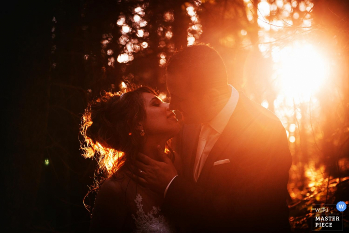 Frankreich-Hochzeitsfotograf nahm dieses Foto einer Braut und des Bräutigams gefangen, die im Wald küssen, während die Sonne durch die Bäume hinter ihnen scheint