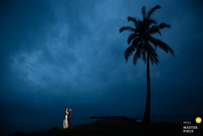 Il fotografo del matrimonio del Montana ha catturato questo colpo di distanza di una sposa e di uno sposo che baciano sotto un cielo nuvoloso mentre si leva in piedi vicino ad una palma