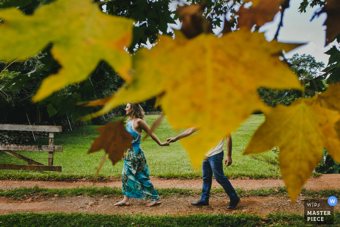 Photo by: <a href="https://www.wpja.com/contests/2017-tri1-photography-competition/wildcard-portrait/1993971">Guilherme Bastian - Brazil</a> Brazil wedding photographer created this image of bride and groom holding hands while looking through golden foliage