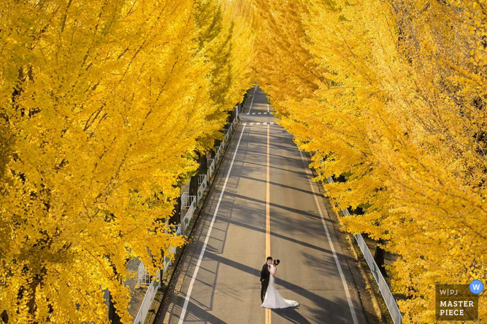 Der Hochzeitsfotograf aus Taipeh hat dieses Bild einer Braut und eines Bräutigams erstellt, die mitten auf einer leeren Straße stehen, umgeben von Bäumen mit gelben Blättern