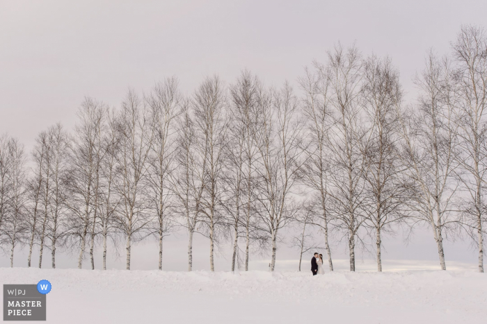 Le photographe de mariage de Taipei a capturé cette image lointaine d'une mariée et du marié se tenant dans la neige devant une rangée d'arbres sans feuilles