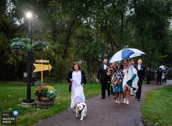 Montana wedding photographer captured this image of the bride walking under an umbrella while holding up her dress to protect it from the wet pavement as little girl in a white dress walks an english bulldog in front