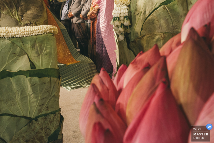 Photo by: <a href="https://www.wpja.com/contests/2017-tri2-photography-competition/flowersdecorations/2010456">Tachpasit Kunaporn - Thailand</a> Bangkok wedding photographer created this artistic image of large flower buds and green leaves