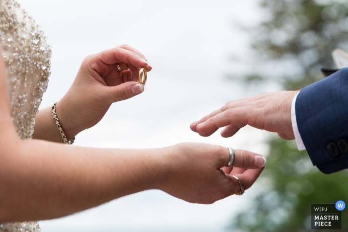 Il fotografo di matrimoni di Minneapolis ha catturato questo colpo di dettaglio di una sposa e uno sposo che si scambiavano gli anelli a una cerimonia all'aperto