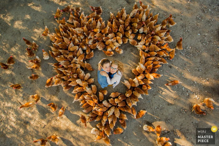 Photo prise ci-dessus de la mariée et du marié se tenant parmi des poulets disposés en forme de cœur par un photographe de mariage néerlandais.