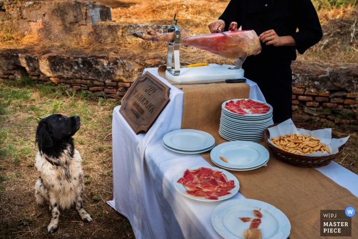 Photo by: <a href="https://www.wpja.com/contests/2017-tri3-photography-competition/food-drinks/2082901">Pedro Cabrera - Spain</a> A dog watches as a man slices a Spanish ham to serve to guests in this photo by a Madrid, Spain wedding photographer.