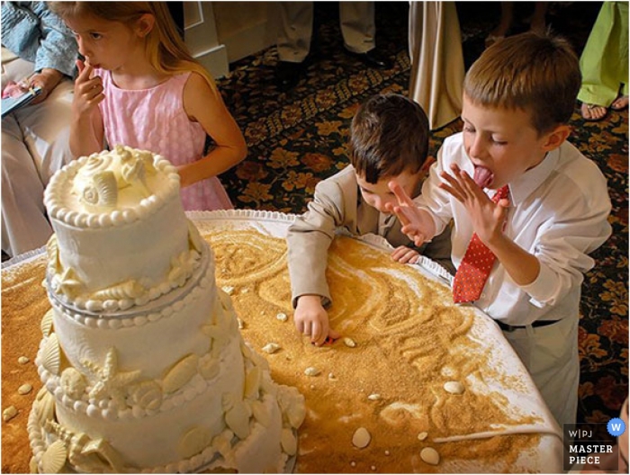 Zdjęcie: <a href="https://www.wpja.com/contests/2007-brides-magazine/cake/56361"> Dan Harris - Stany Zjednoczone </a> Fotograf ślubny Dan Harris z Florida, United States