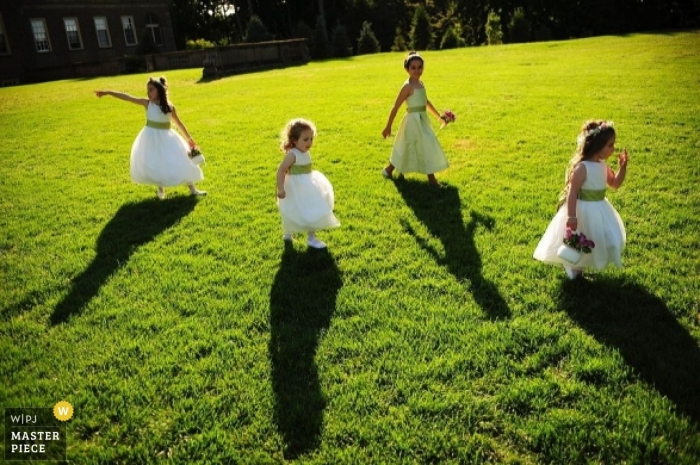 Photo by: <a href="https://www.wpja.com/contests/2008-q4/great-natural-light/87451">Sarah Bastille - United States</a> Wedding Photographer Sarah Bastille of Massachusetts, United States