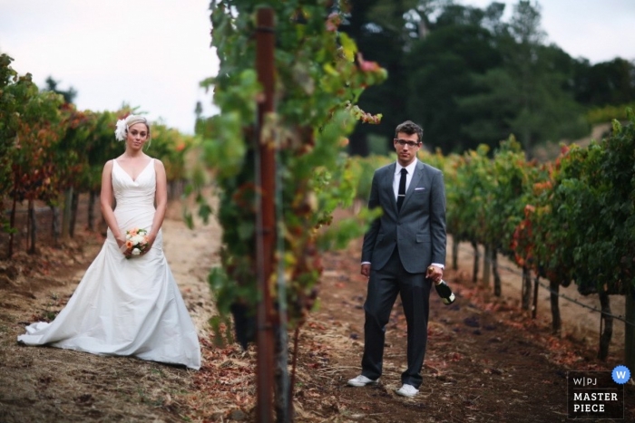 Photo by: <a href="https://www.wpja.com/contests/2009-q3/creative-portrait/232626">F.C. Wong - United States</a> Wedding Photographer F.C. Wong of , United States