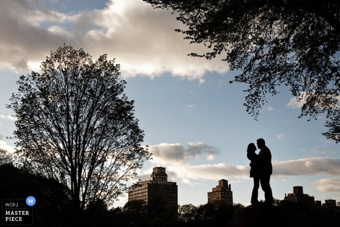 Foto von: <a href="https://www.wpja.com/contests/2010-q3/engagement-portrait/399006"> Steven Young - Vereinigte Staaten </a> Hochzeitsfotograf Steven Young aus New York, USA