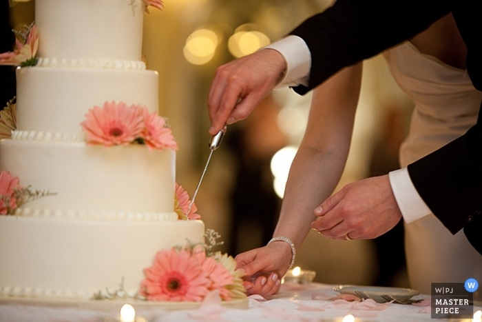 Photo de: <a href="https://www.wpja.com/contests/2010-q4/cake-cutting/572221"> Anne Ryan - États-Unis </a> Photographe de mariage Anne Ryan d'Illinois, États-Unis