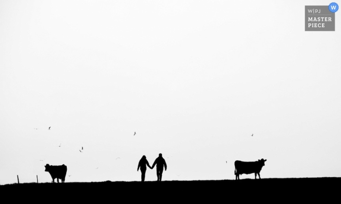 Photo by: <a href="https://www.wpja.com/contests/2012-q4-contest/engagement-portrait/1097366">Nick Despres - United Kingdom</a> Wedding Photographer Nick Despres of , United Kingdom