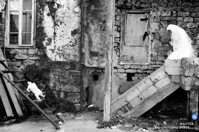 Photo by: <a href="https://www.wpja.com/contests/2013-q1-contest/full-frame-black-and-white/1154446">Firas Chehabeddine - Lebanon</a> Lebanon wedding photographer captured this black and white photo of the bride walking down stone stairs in an alley in the Middle East