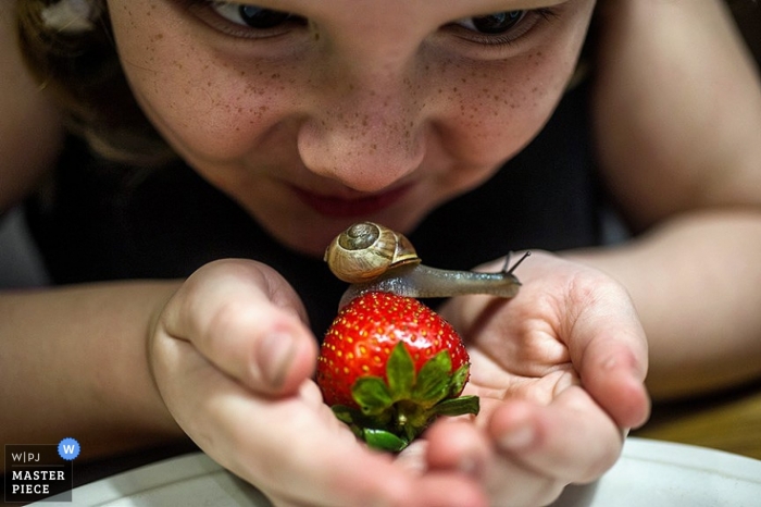 Photo by: <a href="https://www.wpja.com/contests/2013-q2-contest/animals/1127701">Emin Kuliyev - United States</a> Wedding photograph from Bronx | Image contains: young girl, snail, strawberry