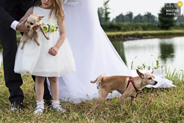 Italy Documentary Wedding Photographer | Image contains: outdoors, dogs, lake, bride, groom, color, flowergirl, grass