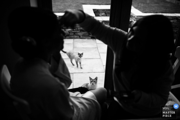 Photo by: <a href="https://www.wpja.com/contests/2013-q2-contest/animals/1177891">Adam Riley - United Kingdom</a> Greater Manchester Documentary Wedding Photographer | Image contains: cats, makeup, getting ready, black, white, door
