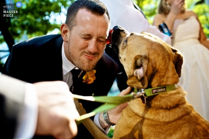 Fotógrafo documental de casamento de Chicago | A imagem contém: cachorro, noivo, língua, trela, cor, atividades ao ar livre, noiva