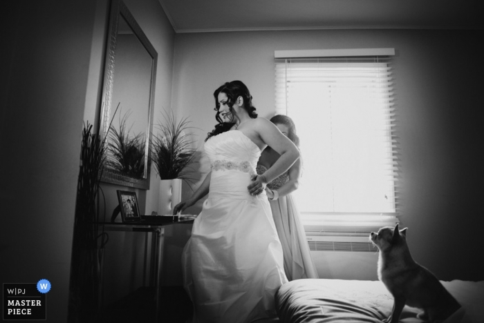 Photo by: <a href="https://www.wpja.com/contests/2013-q2-contest/animals/1208476">Adeline Leonti - Canada</a> Wedding photograph from Montreal | Image contains: dog, bed, bride, black, white, getting ready, dress, mirror