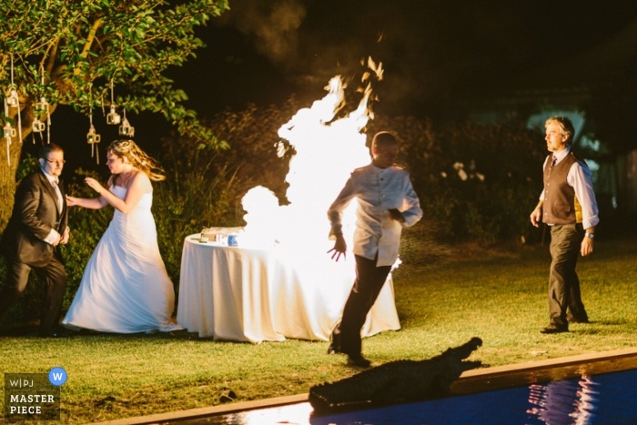 Photo: <a href="https://www.wpja.com/contests/2013-q2-contest/reception/1190576"> Andrea Tappo - Italie </a> Photographie de mariage en Italie | L'image contient: plein air, couleur, flammes, piscine, nuit, couple, gâteau, feu, piscine, découpe