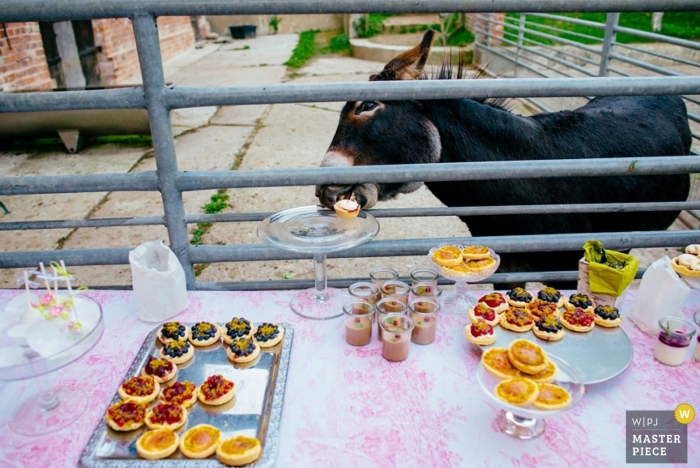 Photo: <a href="https://www.wpja.com/contests/2013-q4-contest/humor/1312461"> Samo Rovan - Slovénie </a> Photographe de mariage Samo Rovan de, Slovénie