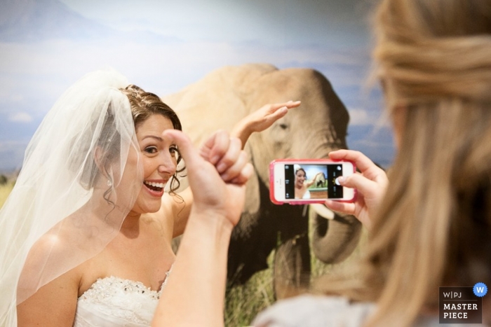 Der Hochzeitsfotograf von Omaha fing den Moment ein, als die Braut vor der Zeremonie ein Selfie neben einem Elefantenbild machte