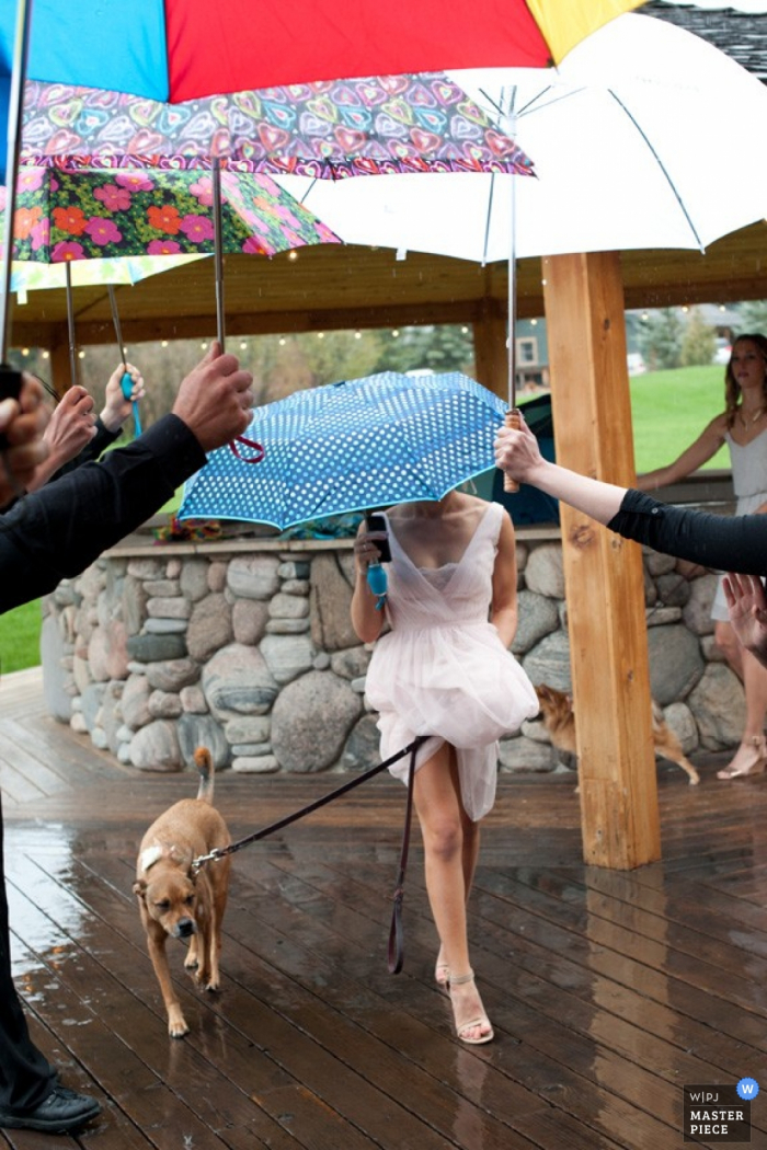Photo by: <a href="https://www.wpja.com/contests/2015-q3-photography-contest/weather/1696181">Larry Stanley - Livingston Montana Livingston bride holds umbrella while with her dog in the rain at the wedding - Montana wedding photojournalism