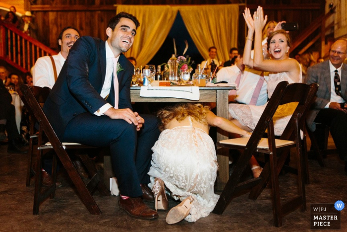 Photo by: <a href="https://www.wpja.com/contests/2015-q4-photography-contest/toastingspeeches/1764946">Scott MacDonald - United States</a> Wedding reception photograph of CA bride climbing under her head table | coverage for San Jose weddings