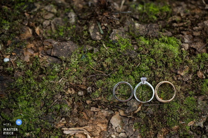 Photo by: <a href="https://www.wpja.com/contests/2015-q4-photography-contest/ring-details/1745556">Daniel Beh - Singapore</a> Up close image of Singapore rings | Asia wedding photography
