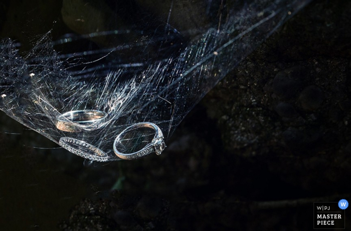 Fotografia di matrimonio di dettagli dell'anello per le coppie di Brooklyn