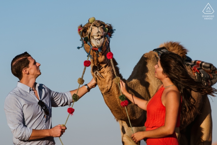 Photo by: <a href="https://www.wpja.com/photos/diamond-award-top-wedding-engagement-photographer/2256496">Bindi Richardson - United Arab Emirates Wedding Photographer</a> Dubai Camels during engagement shoot | Camel Spit in UAE