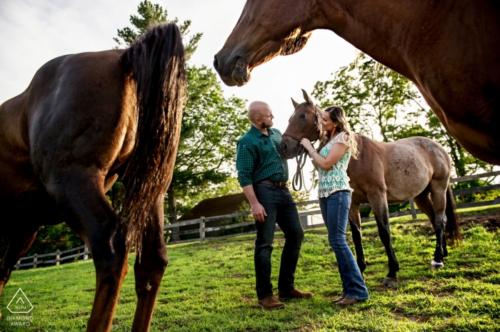 Foto door: <a href="https://www.wpja.com/photos/diamond-award-top-wedding-engagement-photographer/2245071"> Janine Collette - Trouwfotograaf van de Verenigde Staten </a> New Jersey paarportretten met paarden voor hun verlovingsfoto's