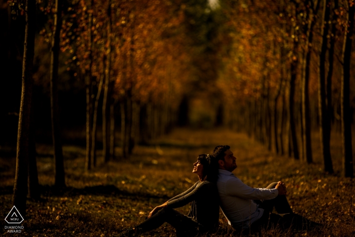 Afternoon wedding engagement portrait of a couple in the sun with trees | Bucharest pre-wedding pictures