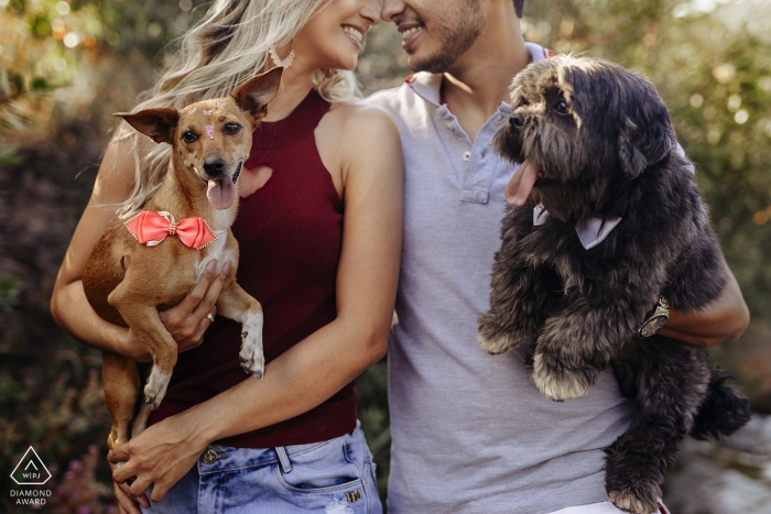 Verlobungssitzung in Minas Gerais, Brasilien, mit zwei Hunden.