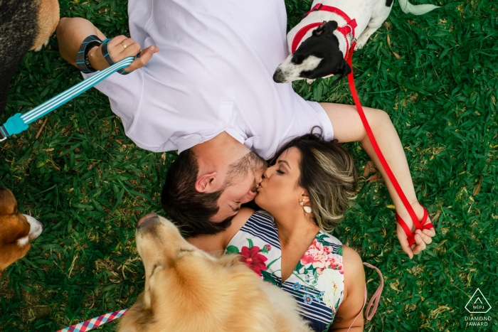 Brazil wedding engagement portrait of a couple on the grass with their dogs | pre-wedding pictures