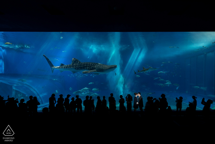 Portrait de fiançailles mariage mariage d'un couple à l'aquarium avec des requins | Séance de photographe avant le mariage au Zhejiang