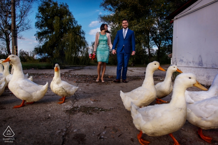 Duck filled wedding engagement portrait of a couple walking to the park  | Bucharest pre-wedding photographer session