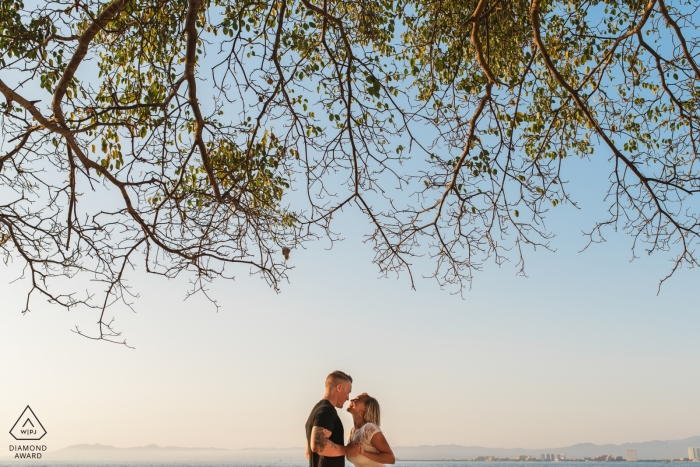 Dosel de árboles | Fotos de compromiso pre-boda | Retrato de Puerto Vallarta