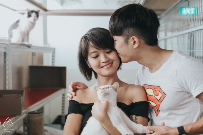 Foto por: <a href="https://www.wpja.com/photos/diamond-award-top-wedding-engagement-photographer/2335321"> Ryan Ng - Singapur Fotos de compromiso antes de la boda de Singapur de una pareja con un gato joven | sesión de fotografía de pareja