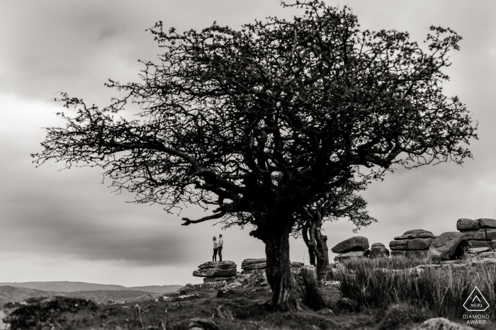 England black and white engagement images of a couple on the rocks with huge trees | Dorset photographer pre-wedding session for portraits