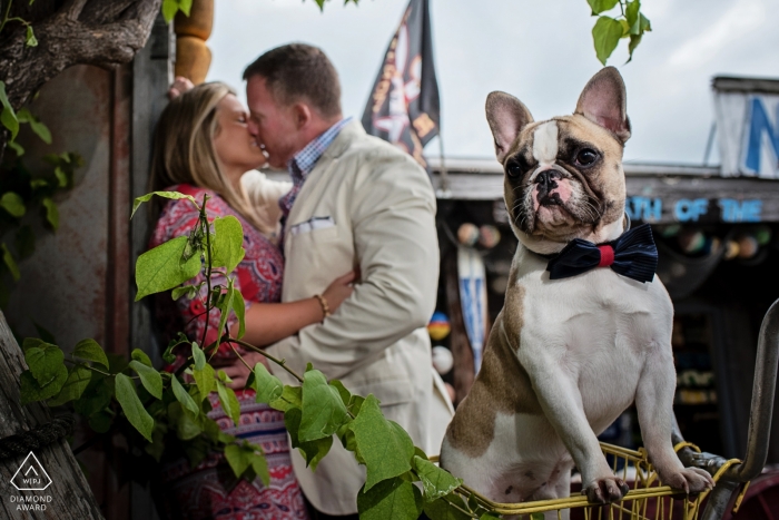 Portraits de fiançailles à Key West d'un couple avec un chien dans un panier à vélo par un photographe de mariage en Floride