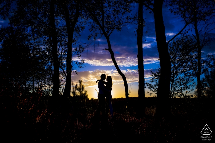 Utrechter Verlobungsfotografie vor der Hochzeit bei Sonnenuntergang in den Bäumen – Niederländische Fotografen