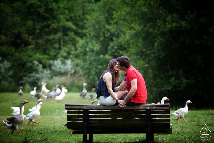 Pre-wedding engagement picture of a couple kissing on a bench in the lush green park with geese Braga pre-wedding engagement pictures of a couple kissing on a bench in the park with geese | Portugal portrait shoot